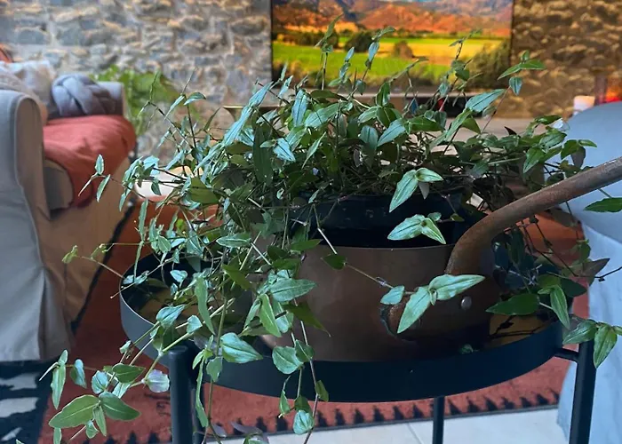 Corps De Ferme A La Montagne. Ferienhaus Montserie